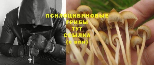 амф Балабаново